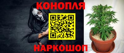 индика Мариинск
