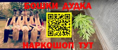 прущие грибы Малгобек