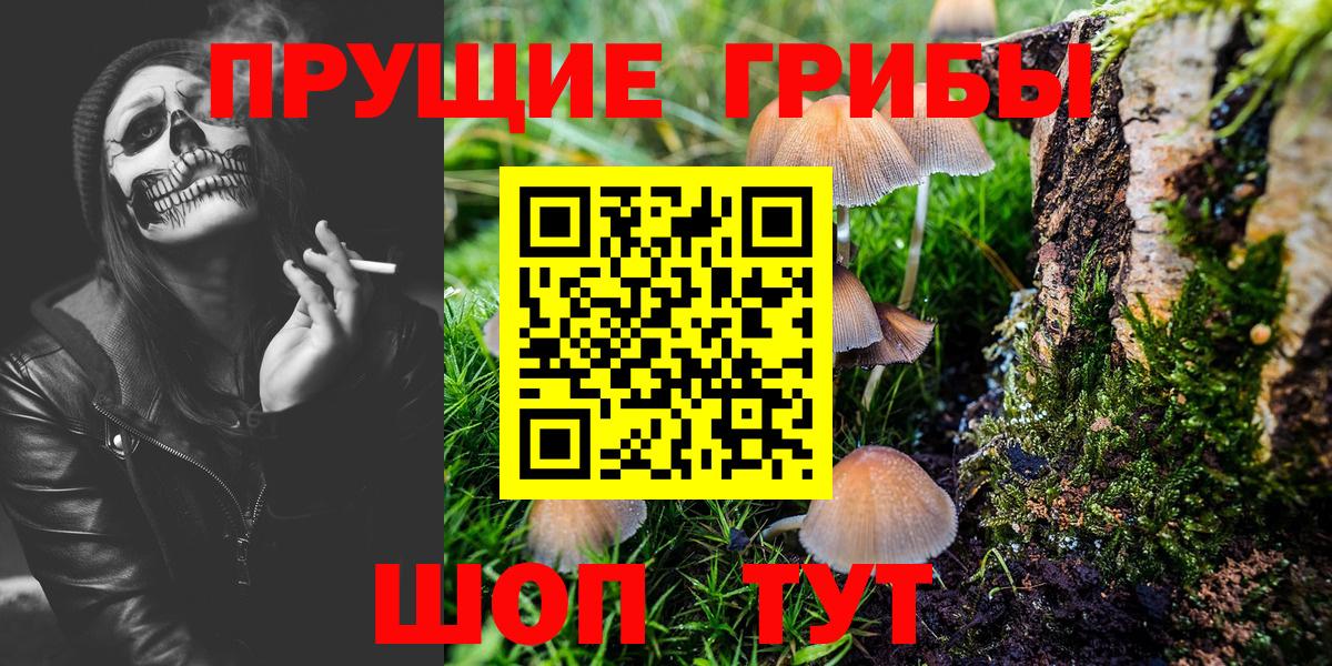 Галлюциногенные грибы прущие грибы Бугуруслан