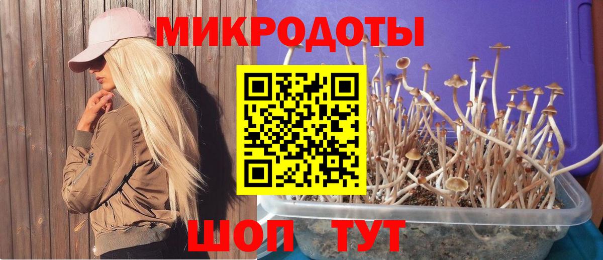 дарнет шоп  Псилоцибиновые грибы прущие грибы  Вход с VPN  Бугуруслан 